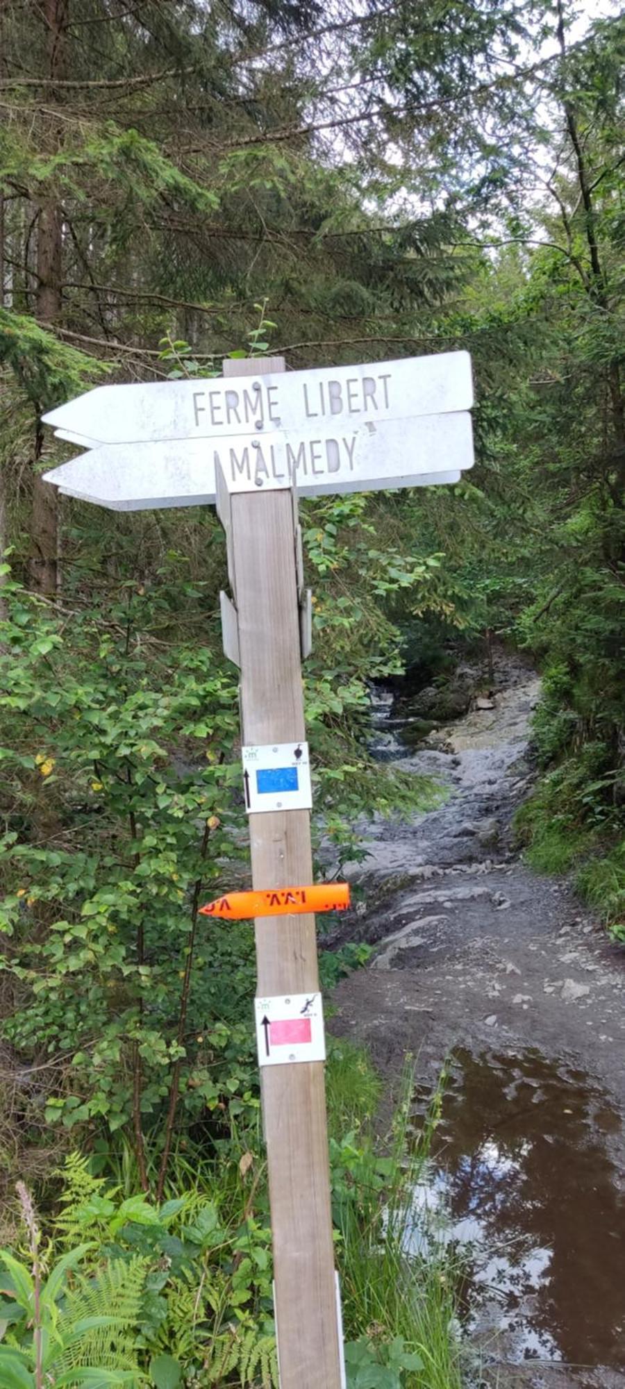 Au Coin De La Cascade * Longfaye